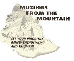 Musings From The Mountain, Journal Primer for Corporate Renewal,  
by John M. Collard, Strategic Management Partners, Inc., 
published by Turnaround Management Association 